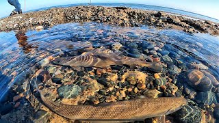 Shore Fishing For Menominee [upl. by Pittel925]