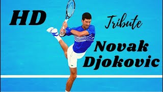 HD NOVAK DJOKOVIC  God of Tennis  TRIBUTE ᴴᴰ [upl. by Wendalyn]