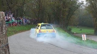 Rally of LEpine Avant Pays Savoyard 2024  Mistakes Flames amp Actions [upl. by Yma337]