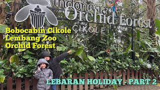 Bobocabin Cikole  Lembang Park amp Zoo  Orchid Forest Cikole  Lebaran Holiday Part 2 [upl. by Draner232]