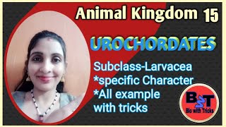 Urochordates subclass Larvaceaspecific character and example☺ [upl. by Elleirda]