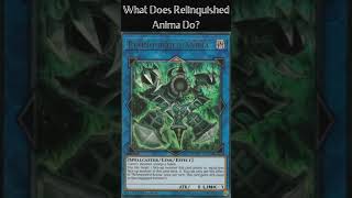 What Does Relinquished Anima Do Yugioh Cards Explained for Easy Deck Building [upl. by Anitsud]