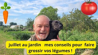 Juillet au jardin Que fait Philippe le jardinier moyen [upl. by Nodnelg156]