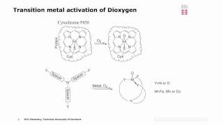 Transition metal activation of Dioxygen [upl. by Plantagenet]