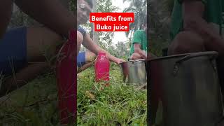 benefits bukojuice yt [upl. by Lenette]