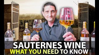 What you Need to Know about Sauternes Wine  Your 5Minute Guide [upl. by Straub]