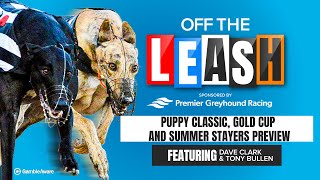 Puppy Classic Gold Cup and Summer Stayers Preview  Off The Leash  Greyhound Racing Tips [upl. by Shermy552]