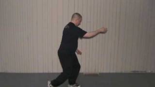 24 Form Tai Chi Lesson 7 Play Guitar or Play the Lute [upl. by Ecnerret497]