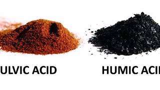 7 Fulvic Acid Benefits and Uses [upl. by Nikola]