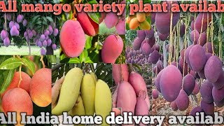 Top Best Mango Varieties in India भारत आमों की टॉप वैरायटी  Talk About Top [upl. by Beshore220]