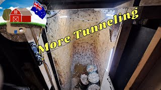 Tunneling under my shed Ep18 secrettunnel diy bunker prepper preppingbunker [upl. by Meerak]