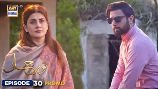 New Noor Jahan Episode 30  Promo  ARY Digital [upl. by Retsam]