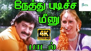 Nethu Pudicha Meenu நேத்து புடிச்ச மீனு  K S Chithra Suresh Peters  Love Duet H D Song [upl. by Baxie105]