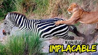 Surviving NAMIBIAs DEADLIEST Predators [upl. by Kirit158]