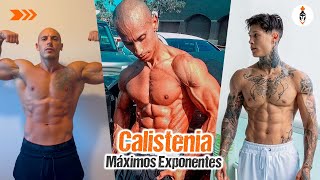 Top 5 Máximos exponentes de la CALISTENIA [upl. by Melessa]