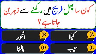 Islamic General Knowledge Quiz 100 Questions  Islam Quiz [upl. by Hanny103]