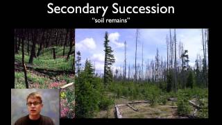 Ecological Succession [upl. by Venditti]