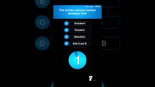 The human nervous system develops from biology brain [upl. by Eentirb]