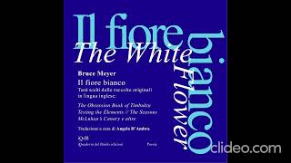 Il fiore bianco di Bruce Meyer [upl. by Bach]