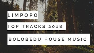 Limpopo Top Tracks 2018 Tribal House MusicVol 7 [upl. by Mohorva]