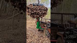 This forklift can also pick up leaves [upl. by Cass]