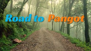 PANGOT ROAD CONDITIONS  PANGOT TOURIST PLACES  Pangot Hill Station [upl. by Aerdnahs]