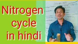 Nitrogen cycle nitrogen cycle in hindi [upl. by Haase416]