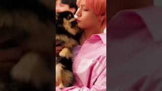 bts ♥🐶members and yeontan cute moments ♥♥♥♥bts short [upl. by Gnagflow]