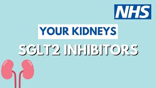 What are SGLT2 inhibitors  Chronic Kidney Disease  UHL NHS Trust [upl. by Erving]