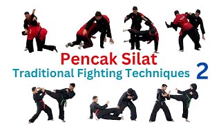 Traditional Silat Fighting Techniques Part 2 [upl. by Lerred]