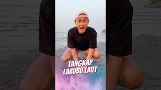 Tangkap Labubu Laut 🏝️ [upl. by Nwahsear871]