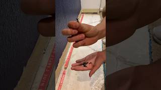 Tack strips on concrete carpet tackstrip carpetinstallation carpetcleaning satisfying short [upl. by Puklich]