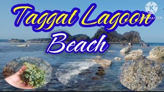 Taggat Lagoon beach claveria cagayan philippines bonding [upl. by Iramo]