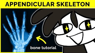 🔴 Mastering Human Anatomy The Appendicular Skeleton 🦴 [upl. by Aynotal]