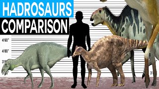 Dinosaur Size Comparison  Hadrosaurs [upl. by Aikym338]