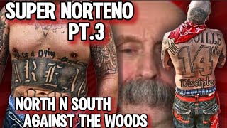 SUPER NORTENO MEETS SUPER WOOD PT3 NORTENOS AND SURENOS VS ROACH AND WOODS southsiders norte [upl. by Eseerahs]