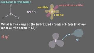 Introduction to Hybridization [upl. by Divine12]