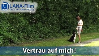 Vertrau auf mich DVD  Hunde souverän führen [upl. by Ailin]