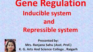 Gene Regulation Inducible system and Repressible system [upl. by Radnaxela235]