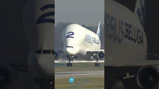 AIRBUS BELUGA LANDING [upl. by Simonsen572]