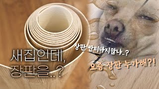 장판 절대 마루보다 하下급 아닙니다 더프디자인 [upl. by Nylak]