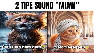 2 tipe sound miaw miaw miaw miaw [upl. by Enahsal]