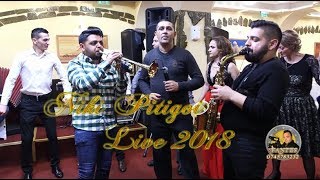 SHOW Niki Pitigoi LIVE 2018 Restaurant Dunarea Albastra [upl. by Henryetta]