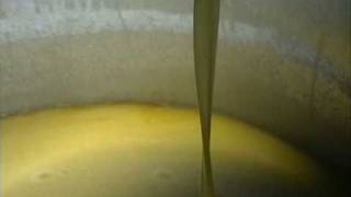 Huile dolive Olive oil Huilerie Ben Selma TUNISIA [upl. by Okoyk]