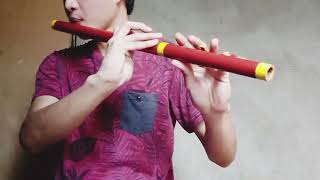 Ili ili tulog anay  A Filipino Folk Song  Flute [upl. by Claudie]