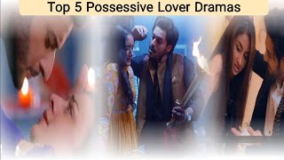 Top 5 Aggressive Toxic Male Lead Drama Hindi SerialForced Marriage Attitude Villan Dramas [upl. by Sabra]