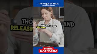 The Magic of Yeast 🧙‍♂️🍞 [upl. by Malissa]