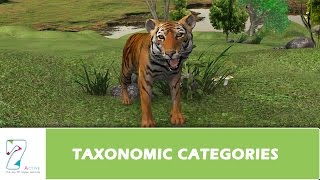 TAXONOMIC CATEGORIES [upl. by Ennobe]