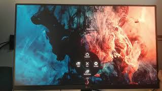 LG 24MR400B REVIEW  24quot inch IPS 100Hz FHD MONITOR [upl. by Nived]