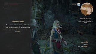 Secret Room With Boulders After Nithral Boss Fight Relic Sword The Witcher 3 [upl. by Neelram]